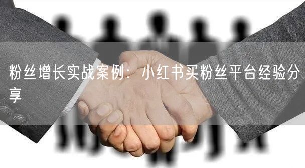 粉丝增长实战案例：小红书买粉丝平台经验分享