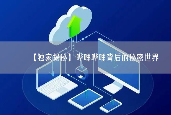 【独家揭秘】哔哩哔哩背后的秘密世界