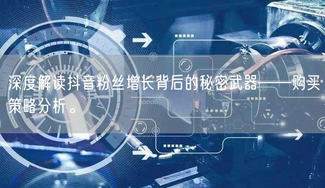 深度解读抖音粉丝增长背后的秘密武器——购买策略分析。