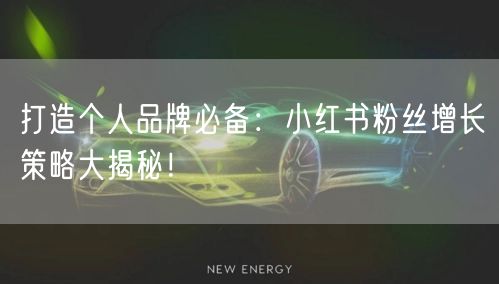 打造个人品牌必备：小红书粉丝增长策略大揭秘！