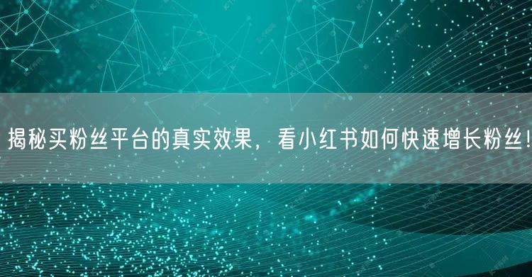 揭秘买粉丝平台的真实效果，看小红书如何快速增长粉丝！