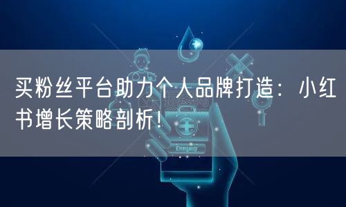 买粉丝平台助力个人品牌打造：小红书增长策略剖析！