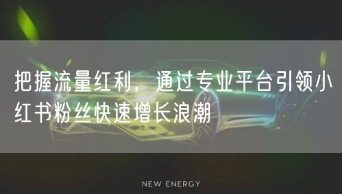 把握流量红利，通过专业平台引领小红书粉丝快速增长浪潮