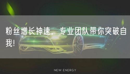 粉丝增长神速，专业团队带你突破自我!