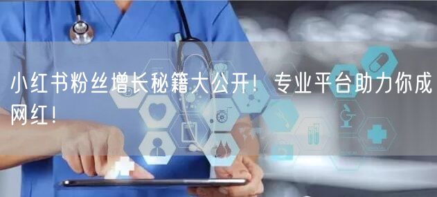 小红书粉丝增长秘籍大公开！专业平台助力你成网红！