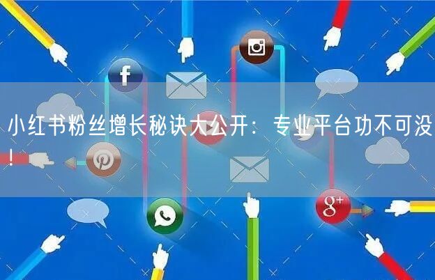 小红书粉丝增长秘诀大公开：专业平台功不可没！