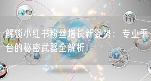 解锁小红书粉丝增长新姿势：专业平台的秘密武器全解析！