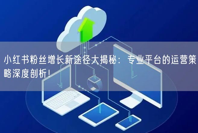 小红书粉丝增长新途径大揭秘：专业平台的运营策略深度剖析！