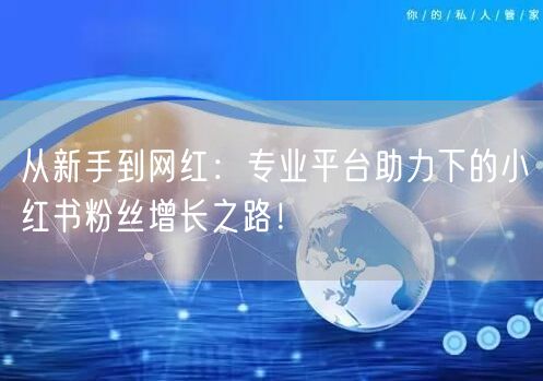 从新手到网红：专业平台助力下的小红书粉丝增长之路！