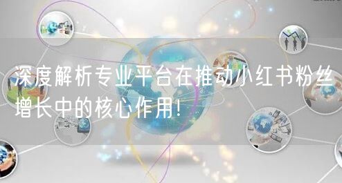 深度解析专业平台在推动小红书粉丝增长中的核心作用！