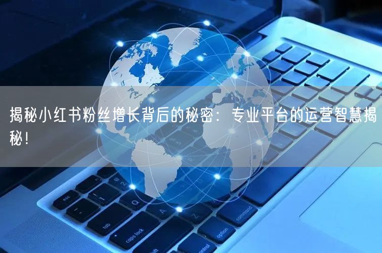 揭秘小红书粉丝增长背后的秘密：专业平台的运营智慧揭秘！