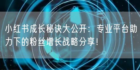小红书成长秘诀大公开：专业平台助力下的粉丝增长战略分享！