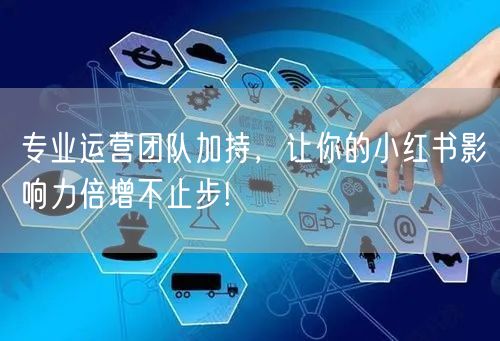 专业运营团队加持，让你的小红书影响力倍增不止步!