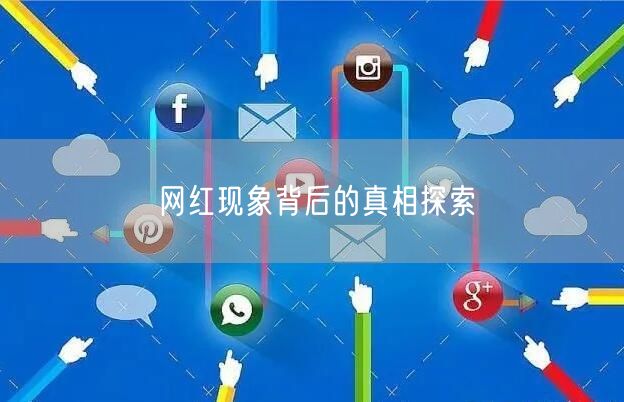 网红现象背后的真相探索