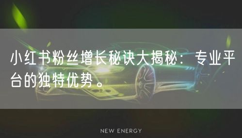 小红书粉丝增长秘诀大揭秘：专业平台的独特优势。
