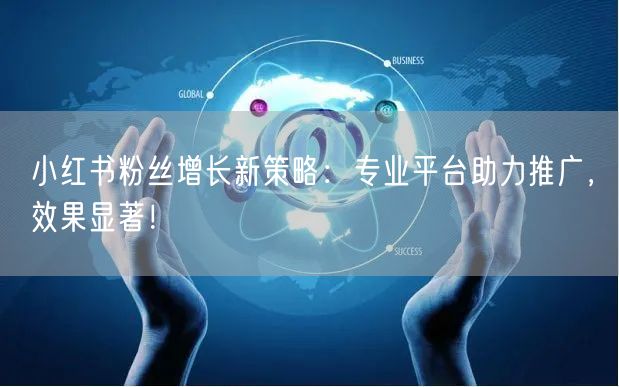 小红书粉丝增长新策略：专业平台助力推广，效果显著！