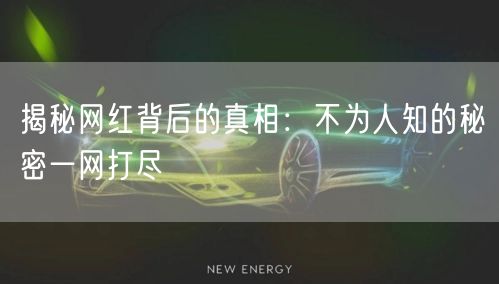 揭秘网红背后的真相：不为人知的秘密一网打尽