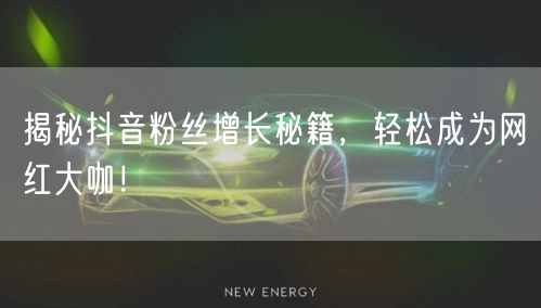 揭秘抖音粉丝增长秘籍，轻松成为网红大咖！
