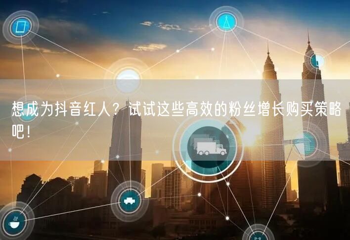 想成为抖音红人？试试这些高效的粉丝增长购买策略吧！