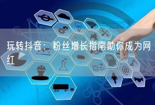 玩转抖音：粉丝增长指南助你成为网红