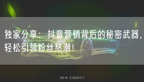 独家分享：抖音营销背后的秘密武器，轻松引领粉丝热潮！