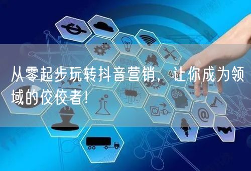 从零起步玩转抖音营销，让你成为领域的佼佼者！