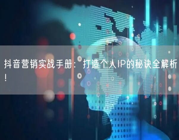 抖音营销实战手册：打造个人IP的秘诀全解析！