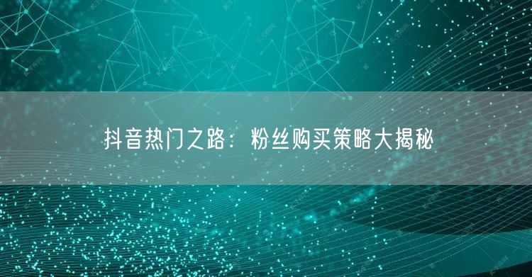 抖音热门之路：粉丝购买策略大揭秘