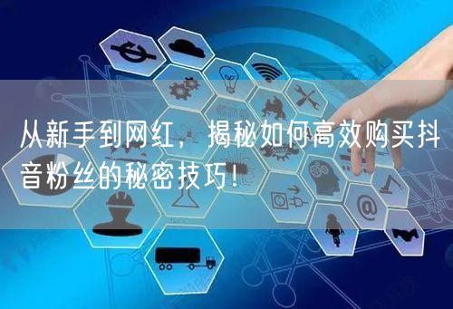 从新手到网红，揭秘如何高效购买抖音粉丝的秘密技巧！