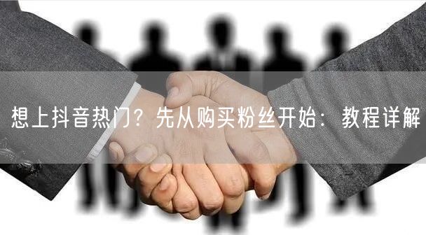 想上抖音热门？先从购买粉丝开始：教程详解