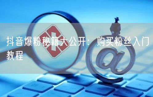 抖音爆粉秘籍大公开：购买粉丝入门教程