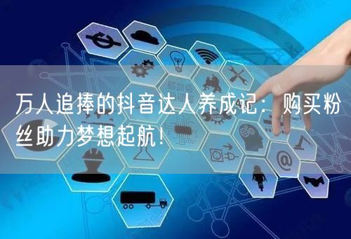 万人追捧的抖音达人养成记：购买粉丝助力梦想起航！