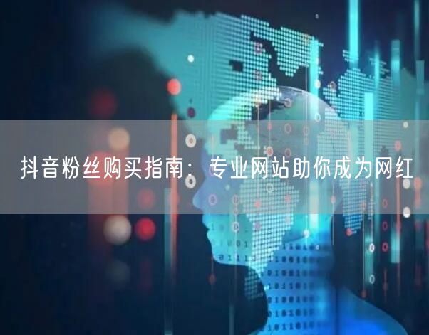 抖音粉丝购买指南：专业网站助你成为网红