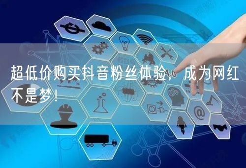 超低价购买抖音粉丝体验，成为网红不是梦！