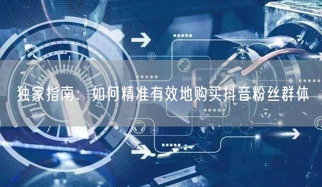 独家指南：如何精准有效地购买抖音粉丝群体