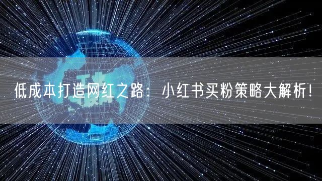 低成本打造网红之路：小红书买粉策略大解析！