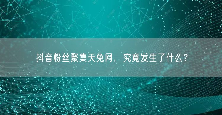 抖音粉丝聚集天兔网，究竟发生了什么？