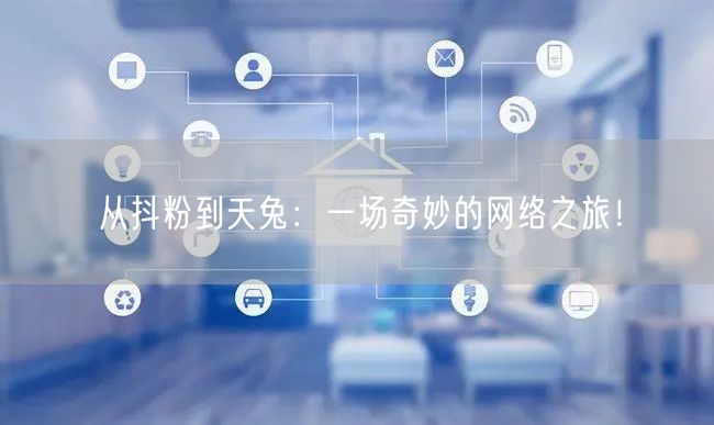 从抖粉到天兔：一场奇妙的网络之旅！