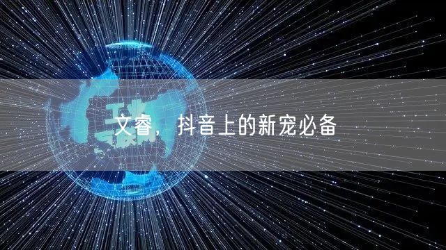 文睿，抖音上的新宠必备