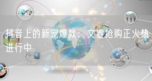 抖音上的新宠爆款：文睿抢购正火热进行中