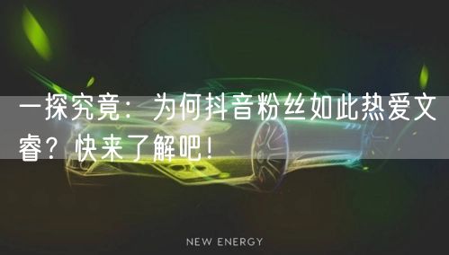 一探究竟：为何抖音粉丝如此热爱文睿？快来了解吧！