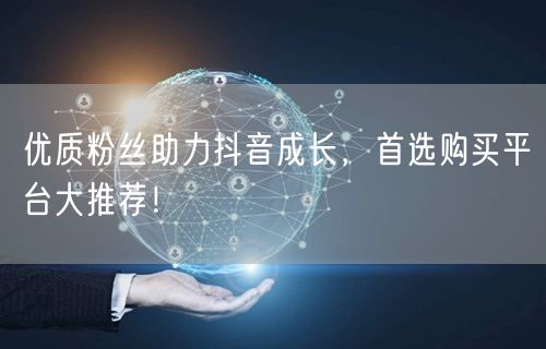 优质粉丝助力抖音成长，首选购买平台大推荐！