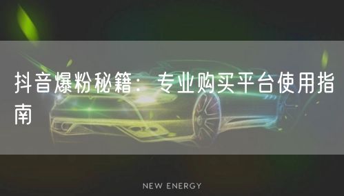抖音爆粉秘籍：专业购买平台使用指南