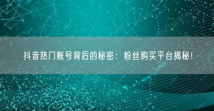 抖音热门账号背后的秘密：粉丝购买平台揭秘！