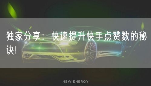 独家分享：快速提升快手点赞数的秘诀!