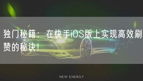 独门秘籍：在快手iOS版上实现高效刷赞的秘诀！
