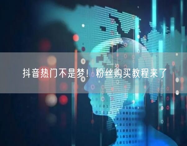 抖音热门不是梦！粉丝购买教程来了