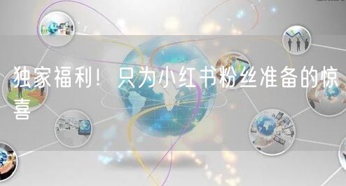 独家福利！只为小红书粉丝准备的惊喜