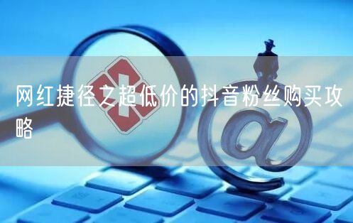 网红捷径之超低价的抖音粉丝购买攻略