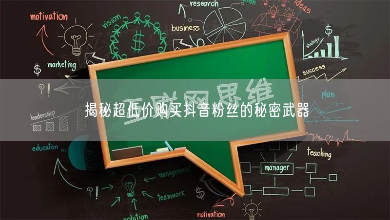 揭秘超低价购买抖音粉丝的秘密武器 